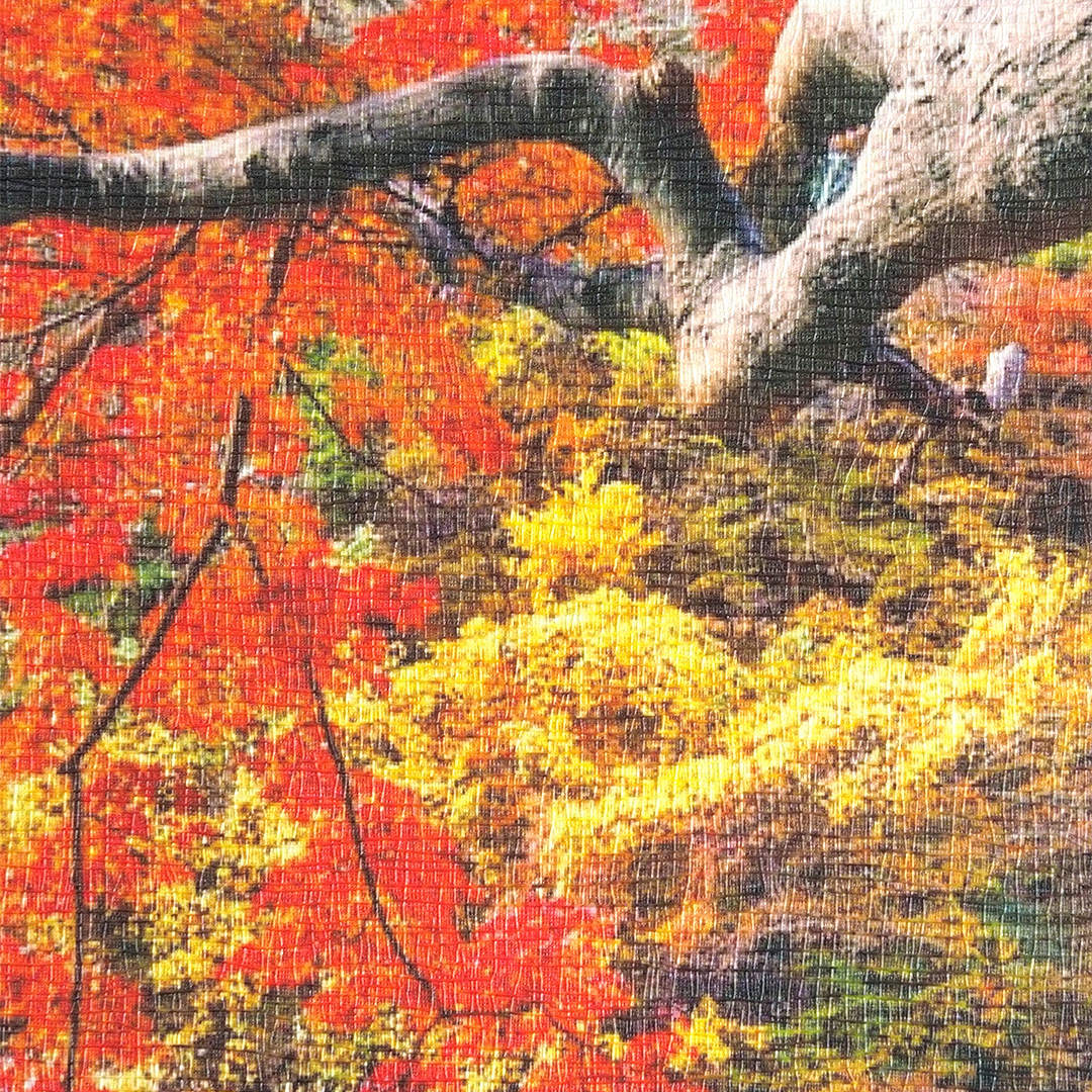 WallPaper Sticker พิมพ์วอลเปเปอร์ติดผนัง - Image 9