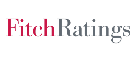 โลโก้ Fitch Ratings ลูกค้า Display Guru